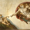 Doge