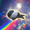 pijon