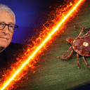 TICK