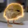 Jerboa
