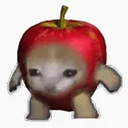 AAPL