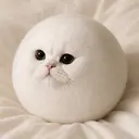 MOCHI