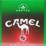 camel