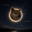moondoge