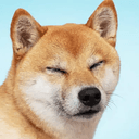 SHIBAINU