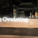 Ovulating