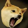 shibpost