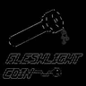 FLESHLIGHT
