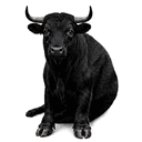 BULLBULL