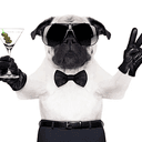 PEACEPUG