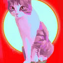 AURACAT