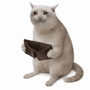 POORCAT