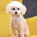 HOLYFUCK