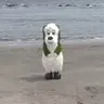 wanwan