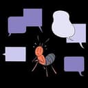 ant