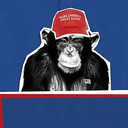 TRUMPANZEE