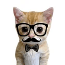 PHDkitty