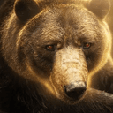 Baloo