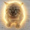 DEBTCAT