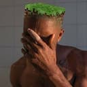 braincraft