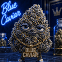 BC
