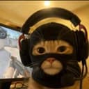 CS2CAT
