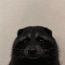 Coon