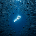 DIVER