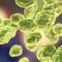 Tularemia