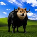 BullShi