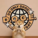 DOGE