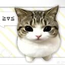 SMOOTHCAT
