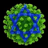 Scamvirus