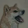 FOGE