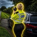 OfficerGyatt