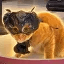 BAGCAT