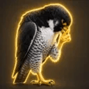 HAWK