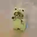 CUTESTCAT