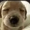 BENNY