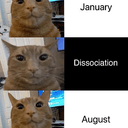 DISSOCAT