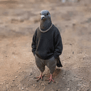 bob
