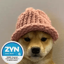 ZYN