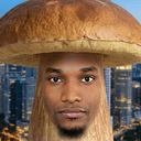 anshroom