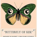 Papillon