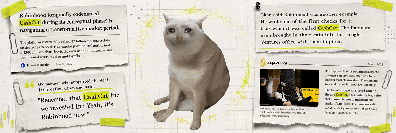 Cash Cat Banner