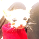 Nacho