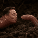 WORM