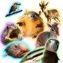 Memeimals