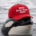 MOGA