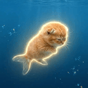 Catfih